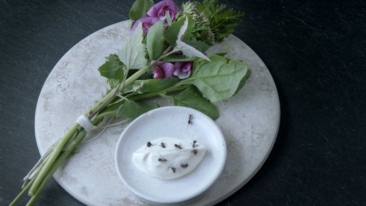 Noma: Das beste Restaurant der Welt