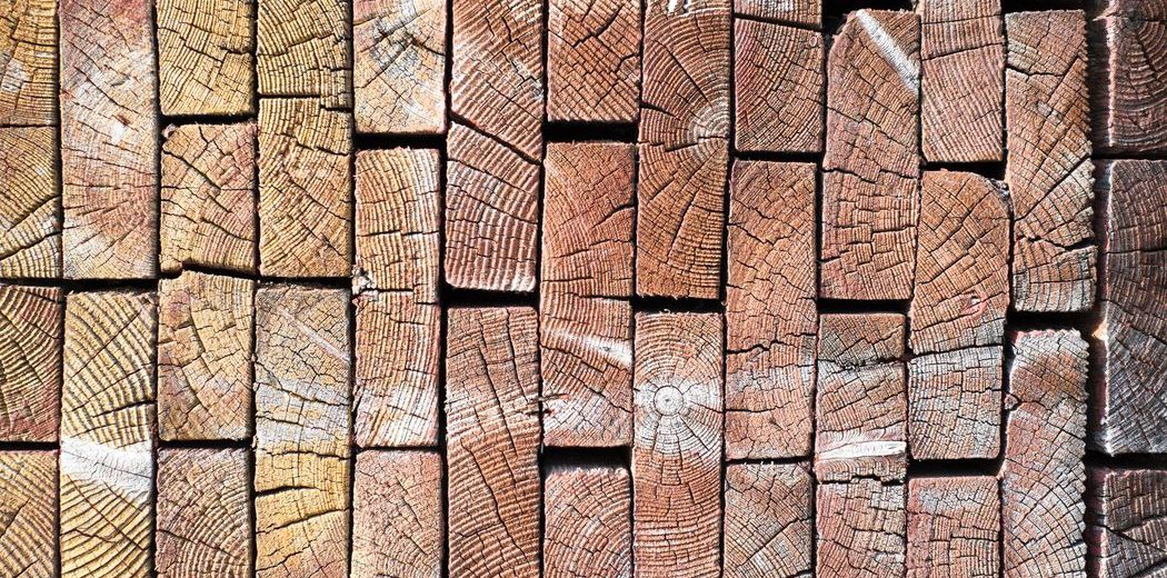 Ducerf: Holz-Export in mehr als 40 Länder