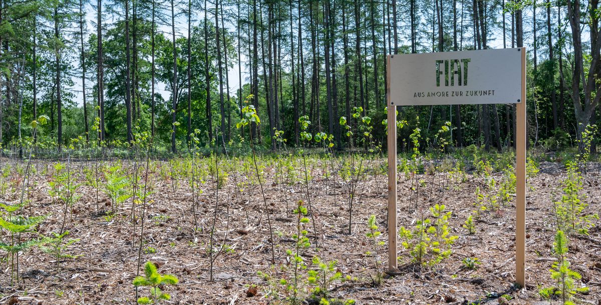 Aus Amore zur Zukunft – Fiat hat schon mehr als 10.000 Bäume gepflanzt