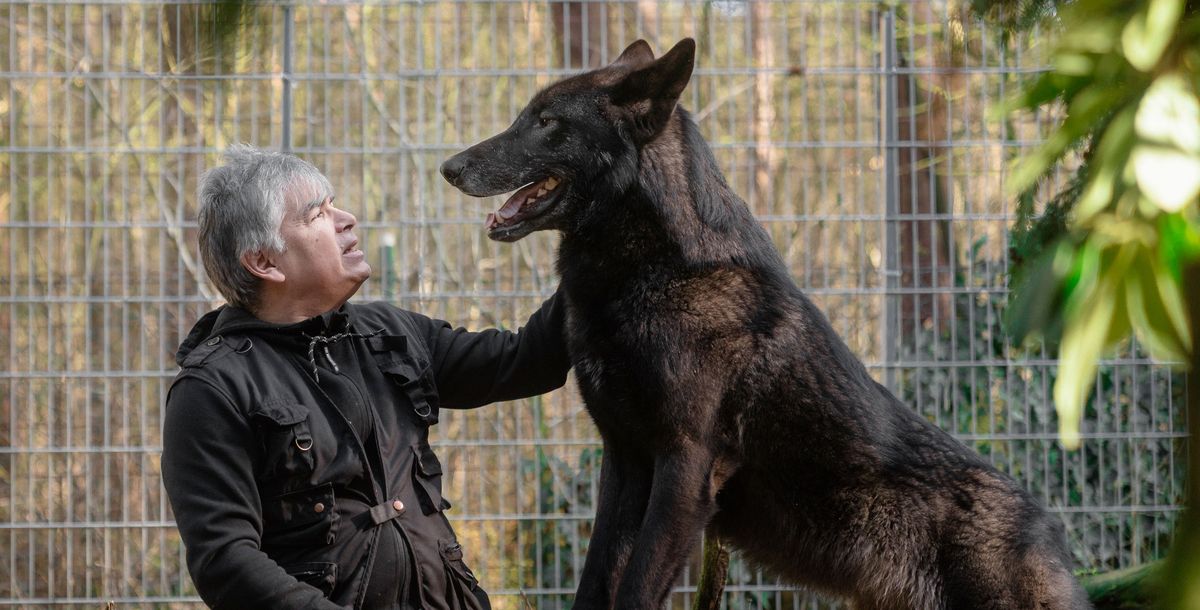 Christian Berge: Der mit dem Wolf lebt