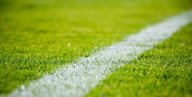 HSV, Schalke und Hertha - die 2. Bundesliga live im TV sehen