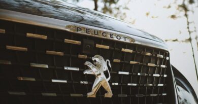 Peugeot - Marketing in neuen Händen