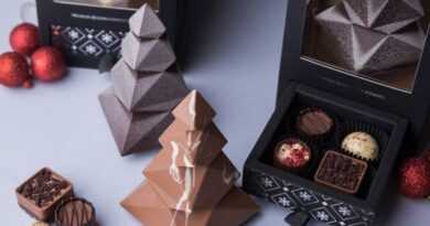 Weihnachtsgeschenke aus Schokolade