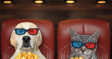 "Garfield – Eine extra Portion Abenteuer" kommt mit Futteredition