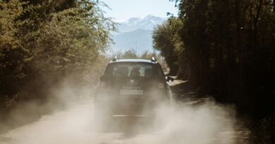 Nicolas Leitienne übernimmt Marketing bei Dacia