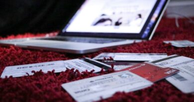 Wie chinesische Plattformen den Online-Handel unter Druck setzen