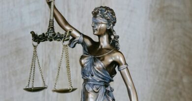 Rechte und Pflichten: Was machen Verfassungsrichter eigentlich?