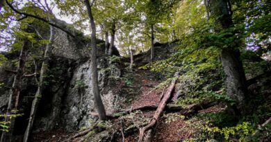 Neuer Reiseführer bringt Tolkien-Fans an deutsche Orte