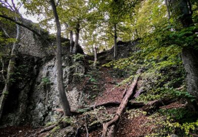Neuer Reiseführer bringt Tolkien-Fans an deutsche Orte