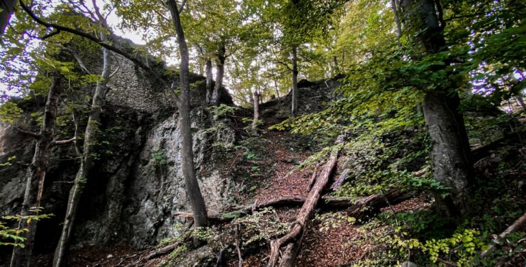 Neuer Reiseführer bringt Tolkien-Fans an deutsche Orte