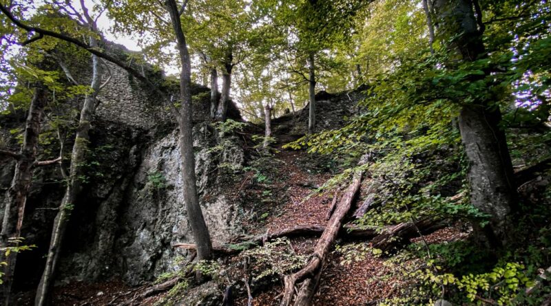 Neuer Reiseführer bringt Tolkien-Fans an deutsche Orte