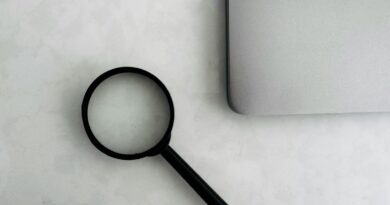 Unternehmen verlieren Google-Traffic - KI-Tools wachsen als Nische