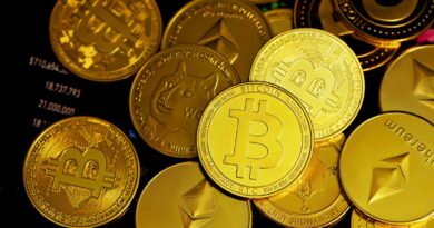 Doku - Kryptowährungen zwischen Millionengewinnen und Totalverlust