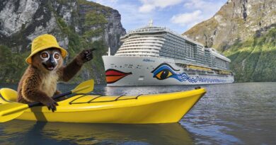 Aida Cruises - Rotbauchmaki Matti wird Gesicht der Sommerkampagne