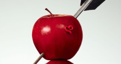 Desigual x Nicki Nicole - Kampagne "Boys Lie" zum Valentinstag