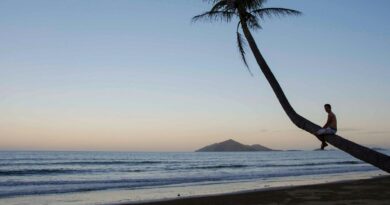 "Promis unter Palmen 2026" - diese Stars kämpfen um 50.000 Euro