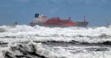 SeaYou: Verband Deutscher Reeder startet Botschafterprogramm