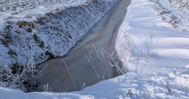 Deutsche Medien drehen durch: Schneechaos! Megawinter! Flockdown!