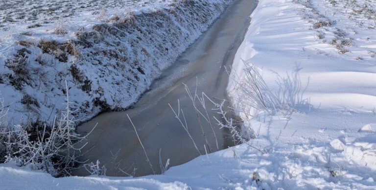 Deutsche Medien drehen durch: Schneechaos! Megawinter! Flockdown!