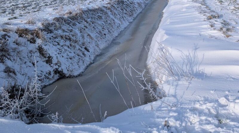 Deutsche Medien drehen durch: Schneechaos! Megawinter! Flockdown!