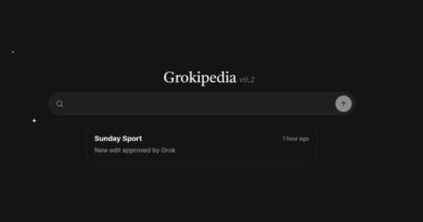 Wie wichtig ist ein Eintrag bei Grokipedia?