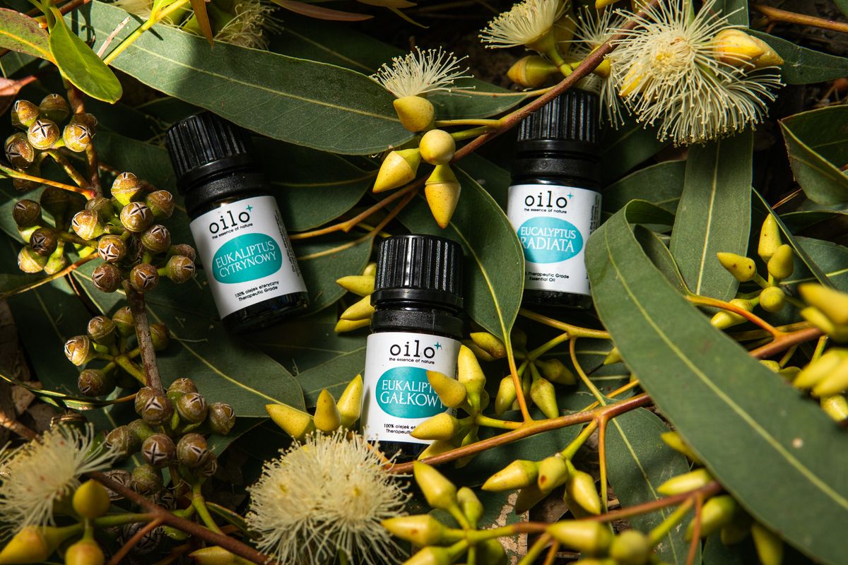 Essential oils - Lifestyle for modern business sectors