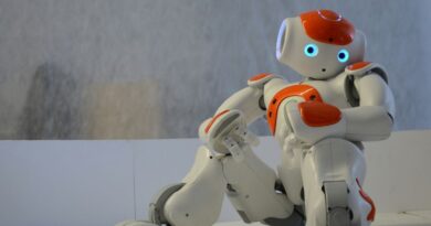 Hightech-Spektakel - China zeigt Kung-Fu-Roboter