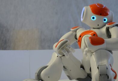 Hightech-Spektakel - China zeigt Kung-Fu-Roboter