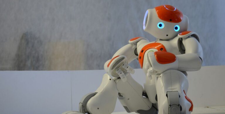 Hightech-Spektakel - China zeigt Kung-Fu-Roboter