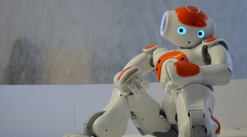 Hightech-Spektakel - China zeigt Kung-Fu-Roboter