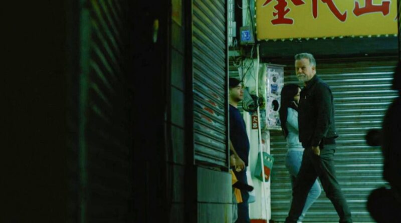 Report on the shadowy realm of the Chinese triads