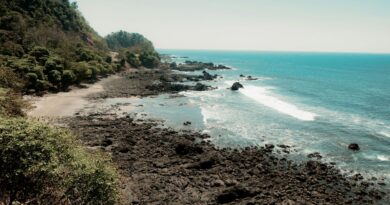 Costa Rica ist Partner der International Ocean Film Tour 2026