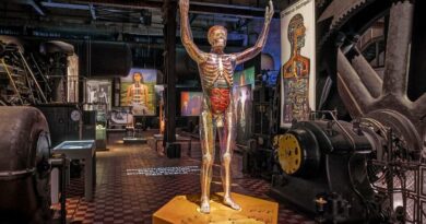 Großausstellung "X-Ray" im Welterbe der Industrialisierung