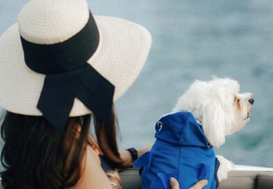 Kanał telewizyjny zabiera psy na rejsy