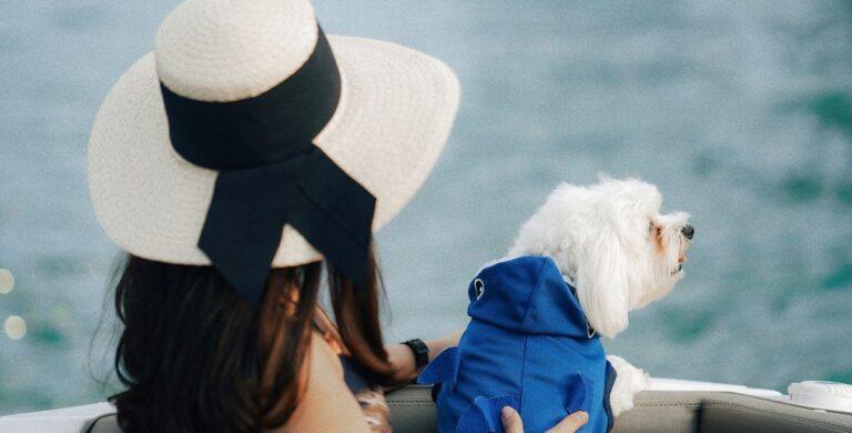 TV-Sender nimmt Hunde mit auf Kreuzfahrt