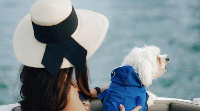 TV-Sender nimmt Hunde mit auf Kreuzfahrt