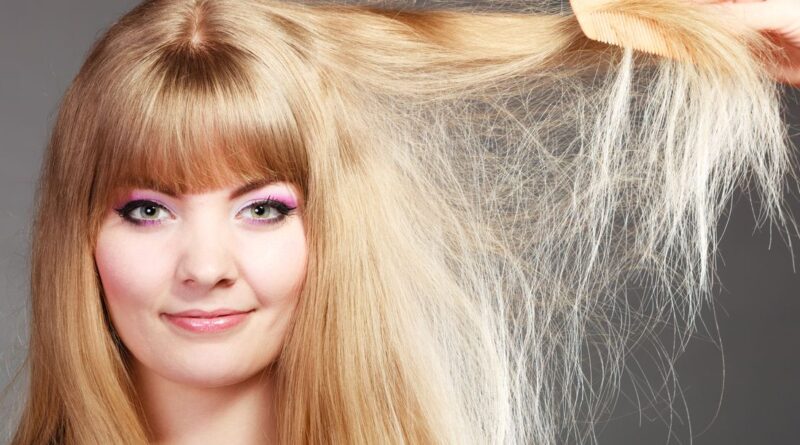 Wella Company setzt auf Berliner Agentur Ozmoze