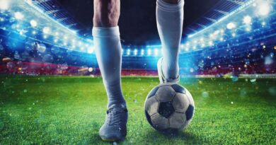 WM 2026 angepfiffen - die Klobürste hat Fußballfieber