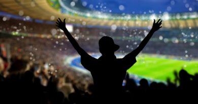 Bundesliga-Konferenz mit gemeinsamer Vermarktungspartnerschaft