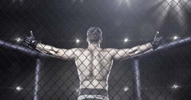 Dokuserie begleitet Brüder in den MMA-Käfig