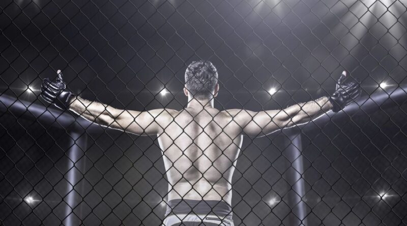 Dokuserie begleitet Brüder in den MMA-Käfig