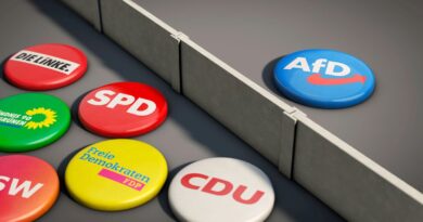 Kommentar: AfD halbieren statt Probleme lösen - die Quittung