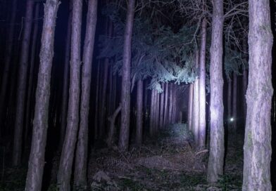 Wie "The Blair Witch Project" 1999 das Kino füllte