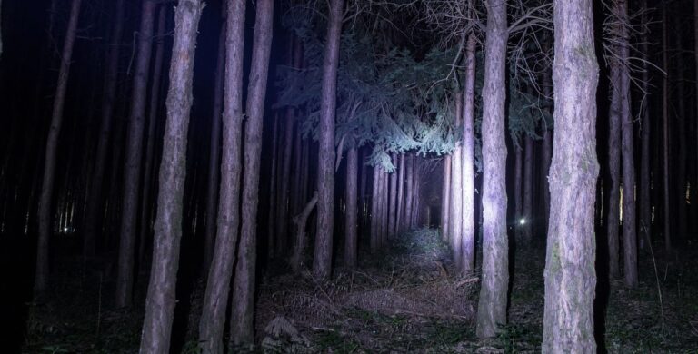 Wie "The Blair Witch Project" 1999 das Kino füllte