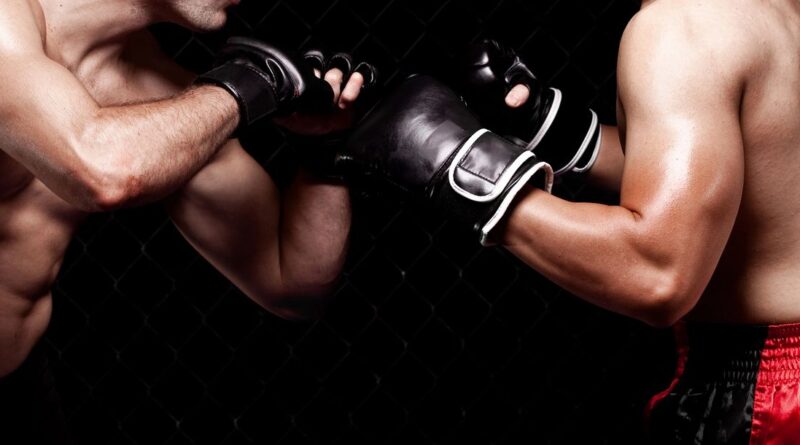 "Fame Fighting" am 17. Oktober 2026 im Live-Stream