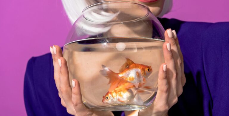 PR-Fail - Entsetzen über Goldfisch-Pakete